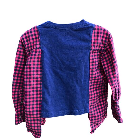 Upcycled Kid’s Flannel Tee: Dinosaur Graphic T-Shirt w/Flannel Sleeves, Size 2-4 - Picture 2 of 9